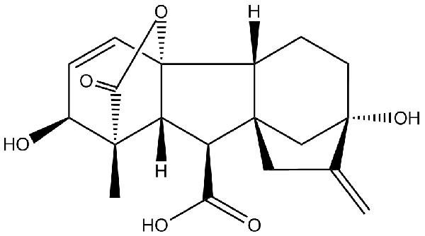 赤霉素GIBBERELLIC ACID，居然有這么神奇？